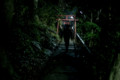 [京都][上賀茂神社]