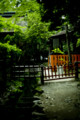 [京都][上賀茂神社]