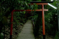 [京都][上賀茂神社]