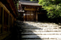 [京都][上賀茂神社]