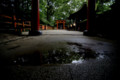 [京都][下鴨神社][糺の森]