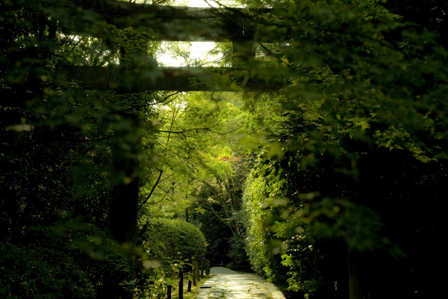 [京都][南禅寺][金地院]