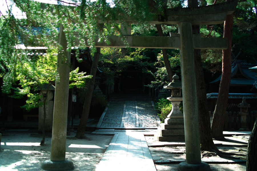 [京都}[今宮神社]