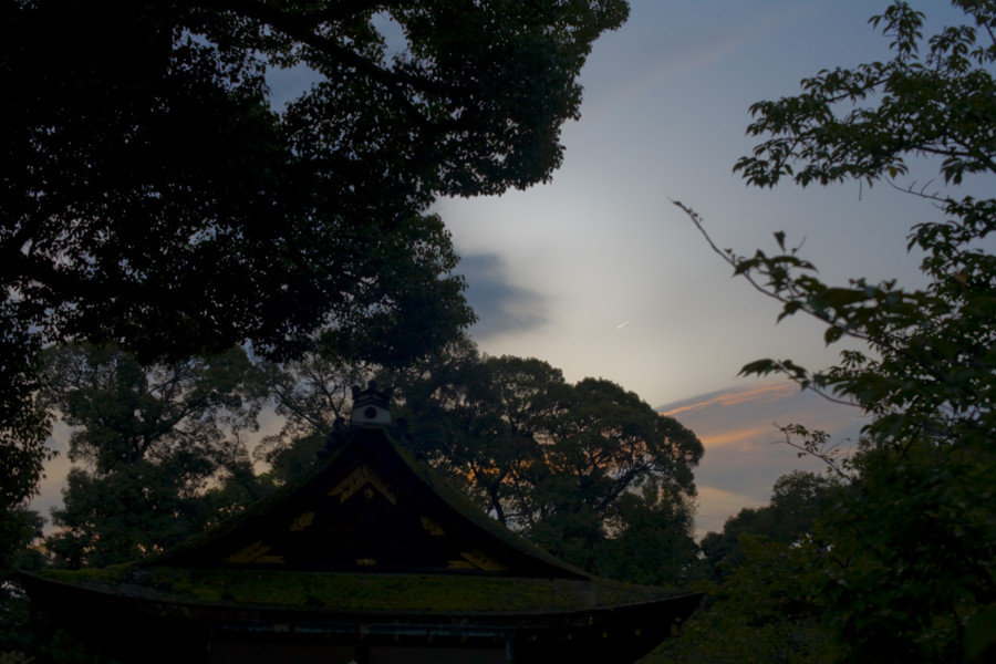 [京都][平野神社]