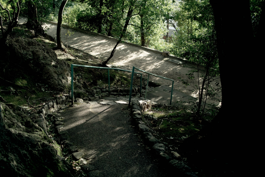 [京都][船岡山公園]