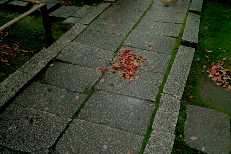 [京都][南禅寺][金地院]