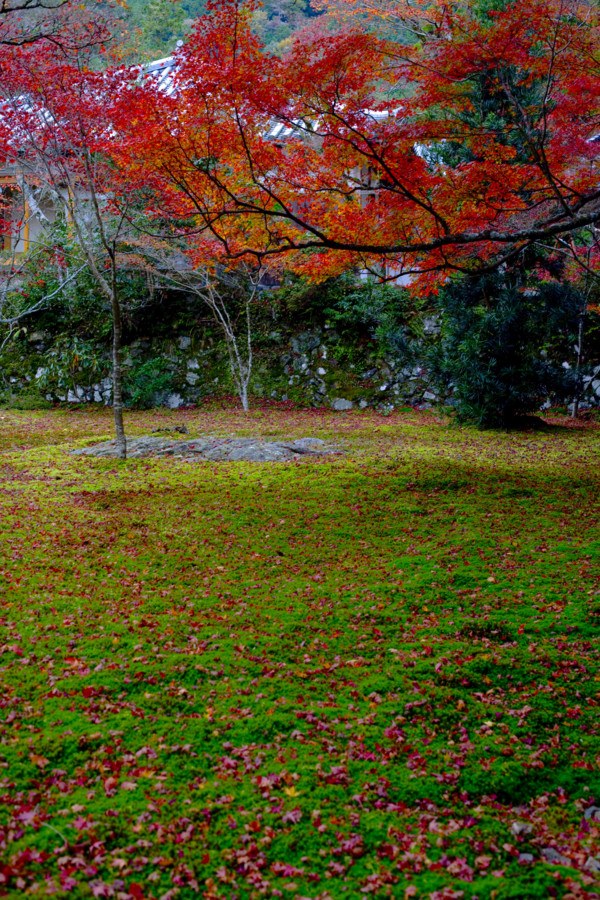 [京都][神護寺]