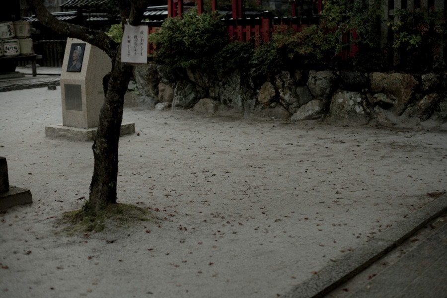 [京都][今宮神社]