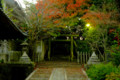 [京都][今宮神社]