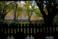 [京都][上賀茂神社]