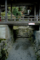 [京都][松尾大社]