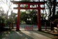 [京都][下鴨神社]