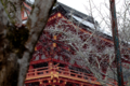 [京都][上賀茂神社]