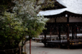 [京都][上賀茂神社]