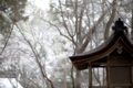 [京都][上賀茂神社]