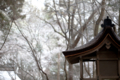 [京都][上賀茂神社]