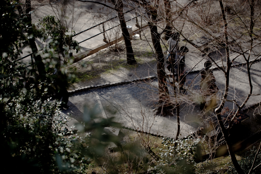 [京都][清水][清水寺]