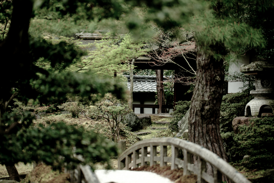 [京都][京都御苑][京都御所]