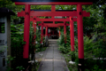 [京都][平野神社]