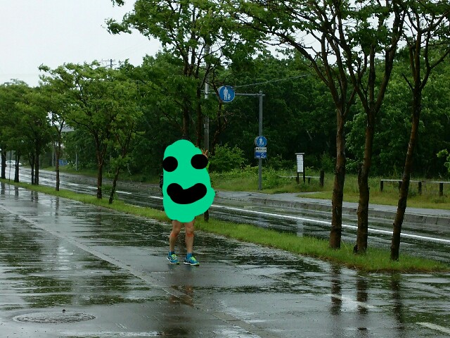 f:id:chobi_chobi:20170630160049j:plain