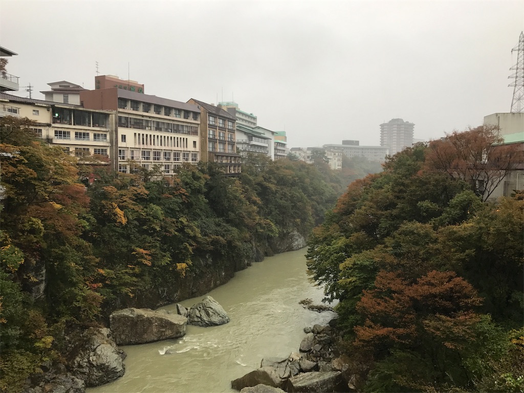 f:id:chobi_chobi:20171029211853j:image