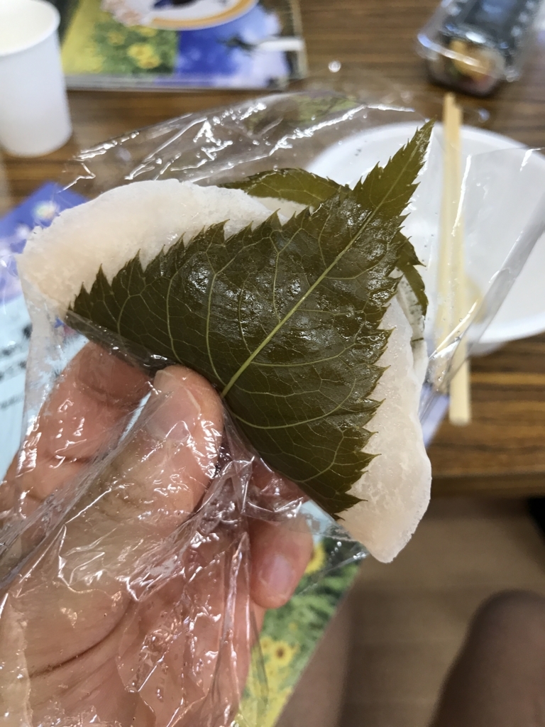 f:id:chobi_chobi:20180404102618j:plain