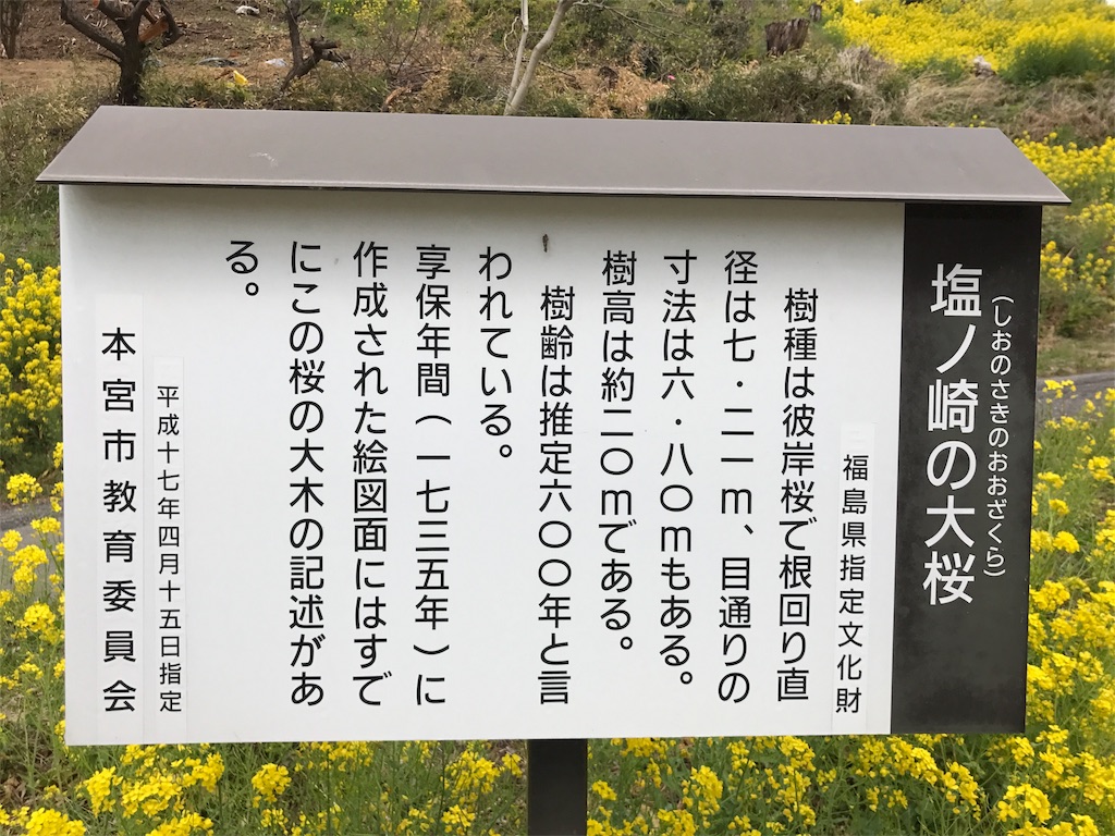 f:id:chobi_chobi:20180415181825j:plain f:id:chobi_chobi:20180415181825j:plain