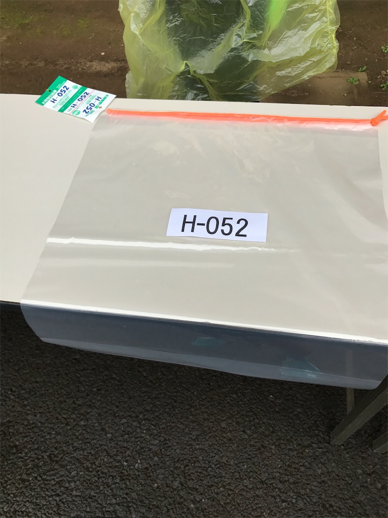 f:id:chobi_chobi:20180625131634j:image