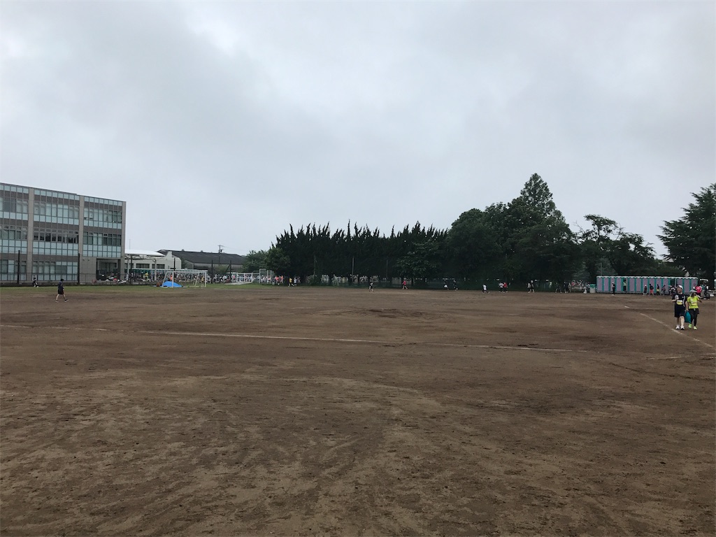 f:id:chobi_chobi:20180625132700j:image