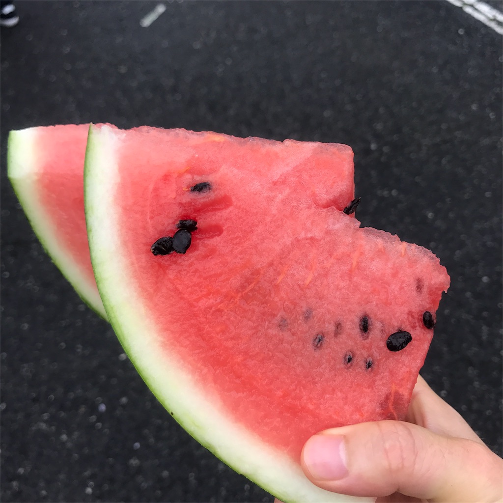 f:id:chobi_chobi:20180625134006j:plain f:id:chobi_chobi:20180625134006j:plain
