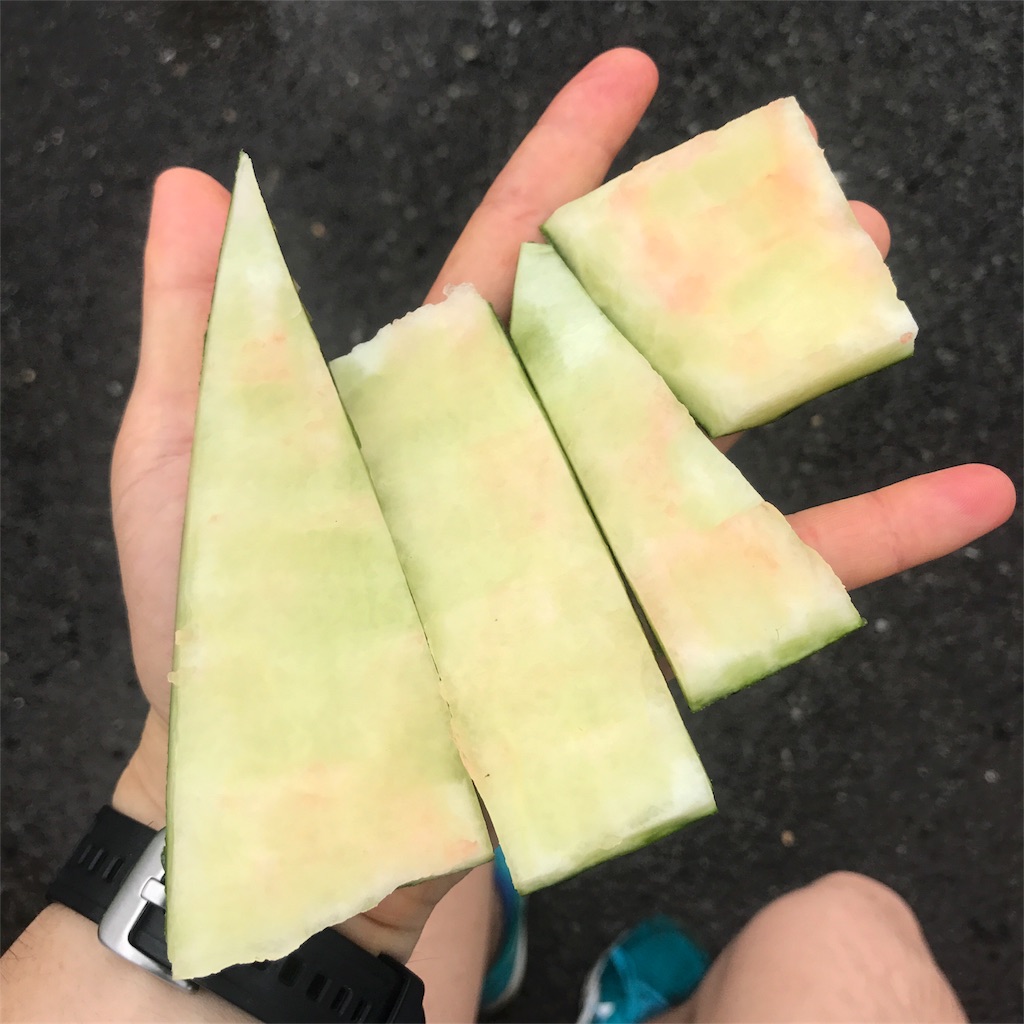 f:id:chobi_chobi:20180625134021j:plain f:id:chobi_chobi:20180625134021j:plain