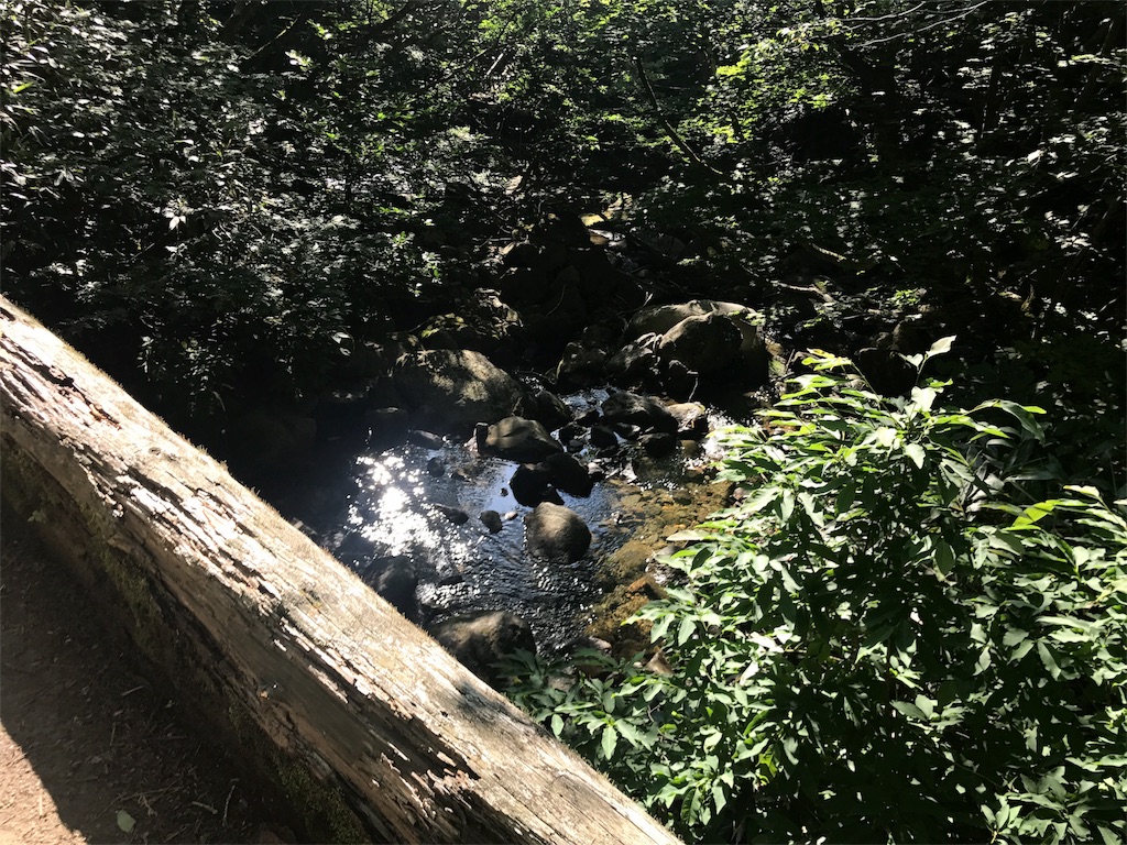 f:id:chobi_chobi:20180715154335j:image f:id:chobi_chobi:20180715154335j:image