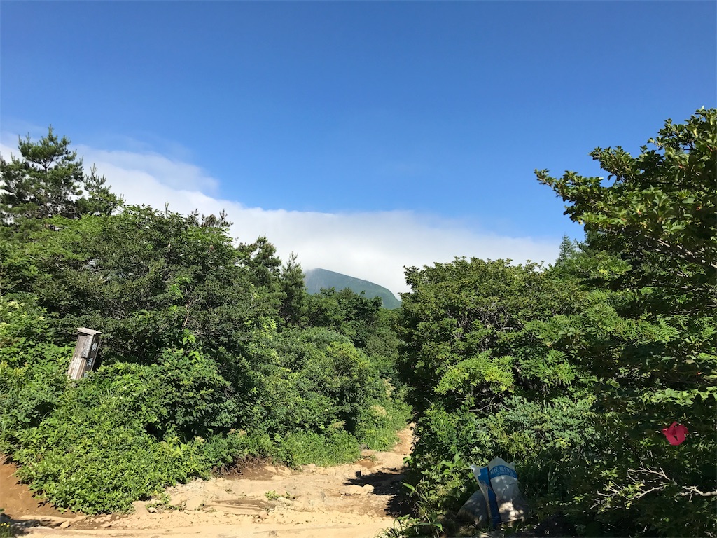 f:id:chobi_chobi:20180715154430j:image f:id:chobi_chobi:20180715154430j:image