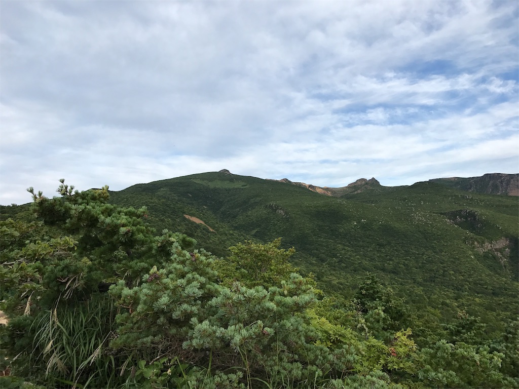 f:id:chobi_chobi:20180819221842j:image
