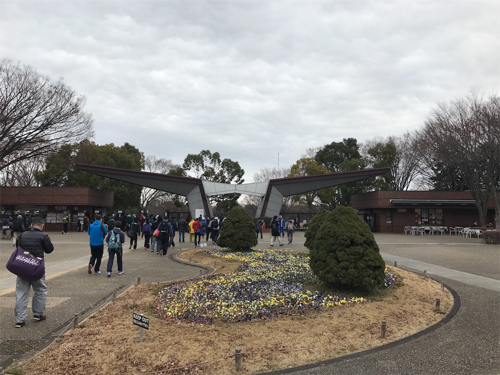 f:id:chobi_chobi:20190112150228j:image f:id:chobi_chobi:20190112150228j:image