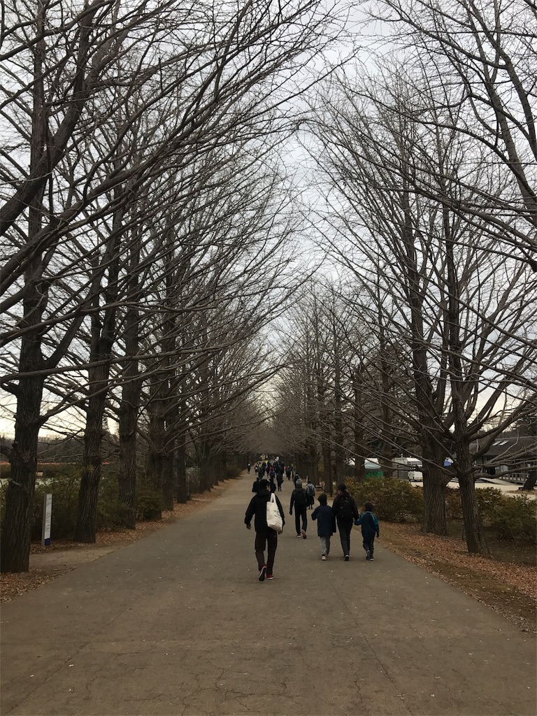 f:id:chobi_chobi:20190112184209j:image f:id:chobi_chobi:20190112184209j:image