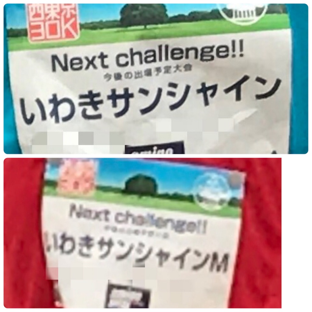 f:id:chobi_chobi:20190112184527j:image f:id:chobi_chobi:20190112184527j:image