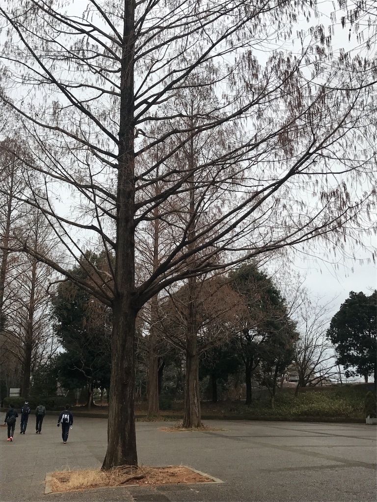 f:id:chobi_chobi:20190112211613j:image f:id:chobi_chobi:20190112211613j:image