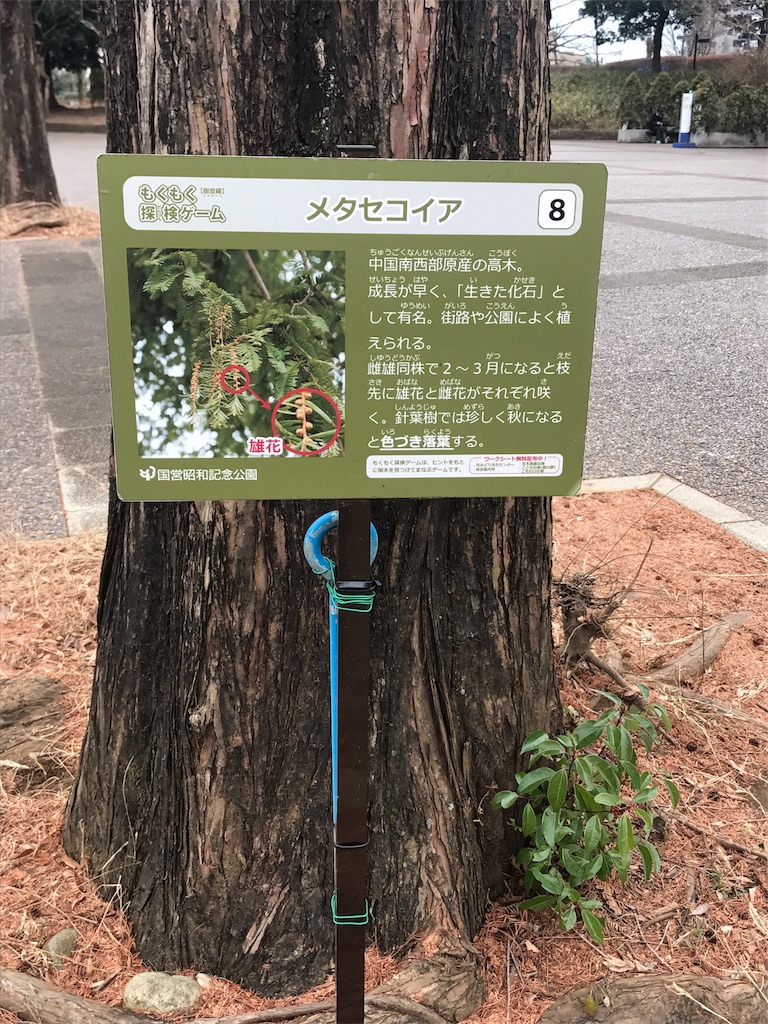 f:id:chobi_chobi:20190112211617j:image f:id:chobi_chobi:20190112211617j:image