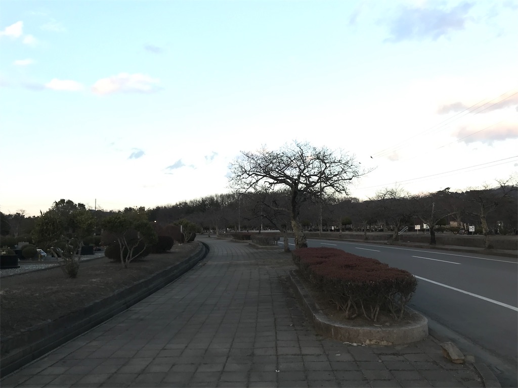 f:id:chobi_chobi:20190325110114j:image f:id:chobi_chobi:20190325110114j:image
