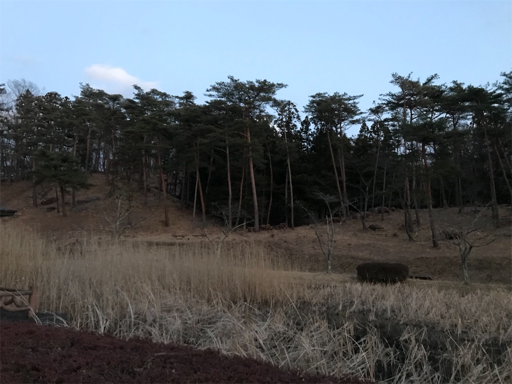 f:id:chobi_chobi:20190325110141j:image f:id:chobi_chobi:20190325110141j:image