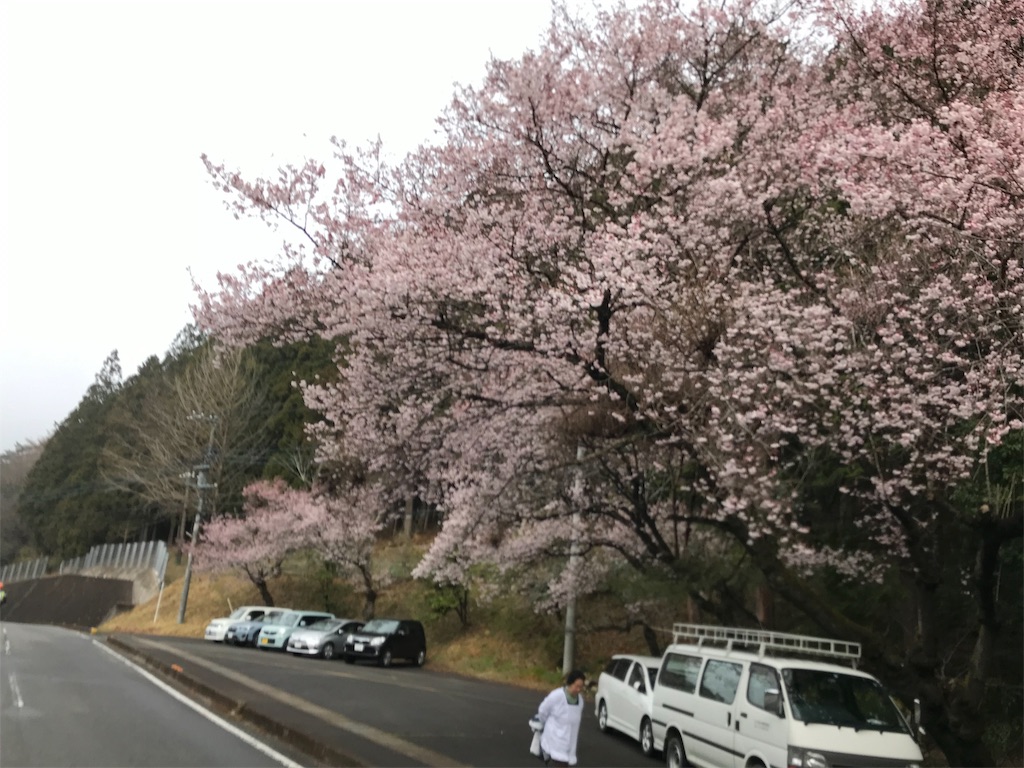 f:id:chobi_chobi:20190331204225j:image f:id:chobi_chobi:20190331204225j:image