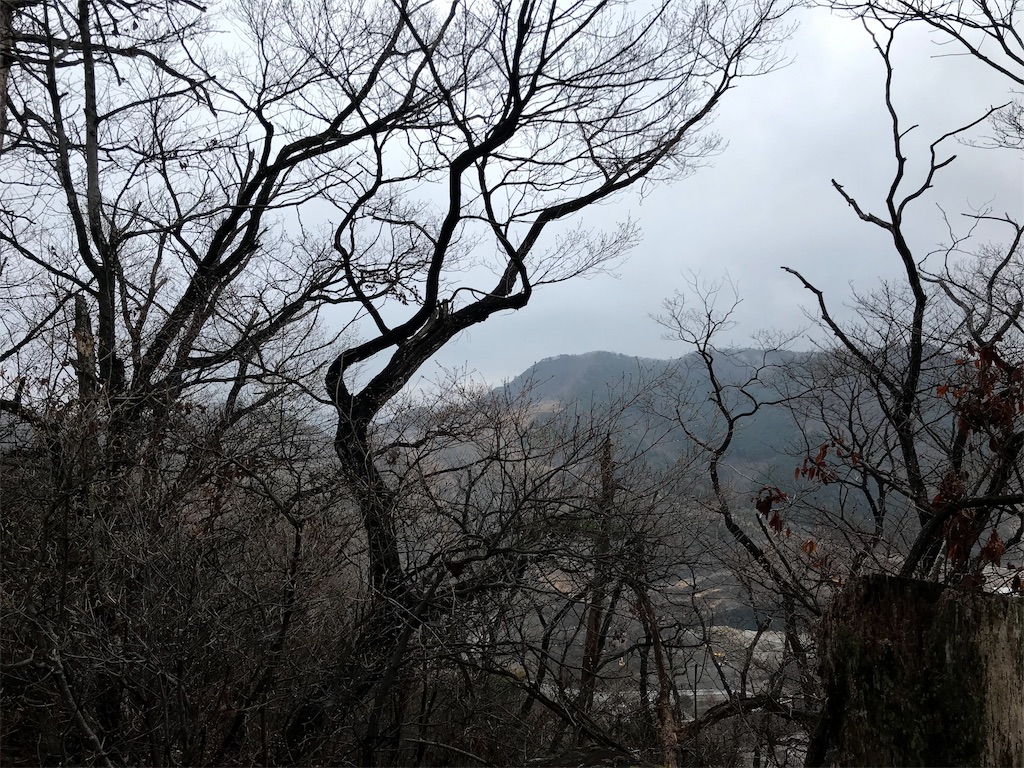 f:id:chobi_chobi:20190331204406j:image f:id:chobi_chobi:20190331204406j:image