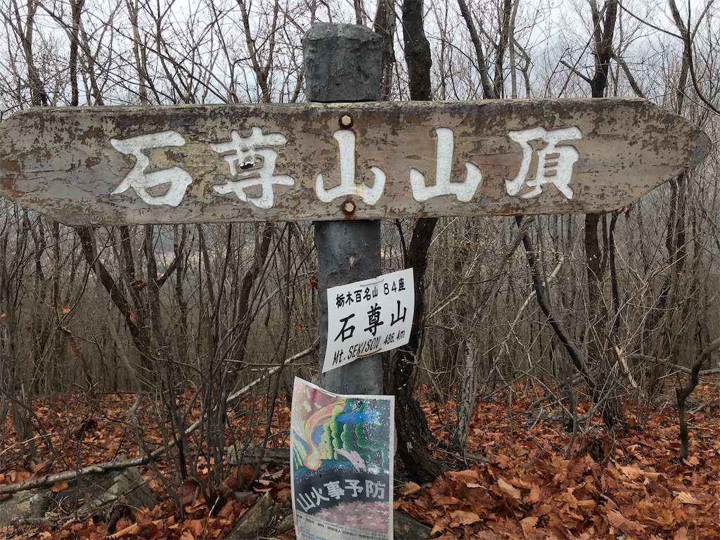f:id:chobi_chobi:20190331204452j:image f:id:chobi_chobi:20190331204452j:image
