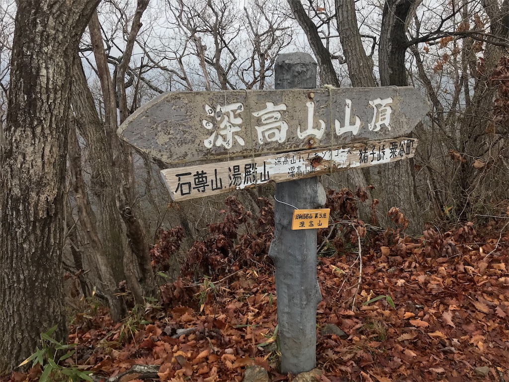 f:id:chobi_chobi:20190331204518j:image f:id:chobi_chobi:20190331204518j:image