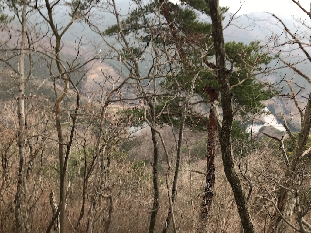 f:id:chobi_chobi:20190331204641j:image f:id:chobi_chobi:20190331204641j:image