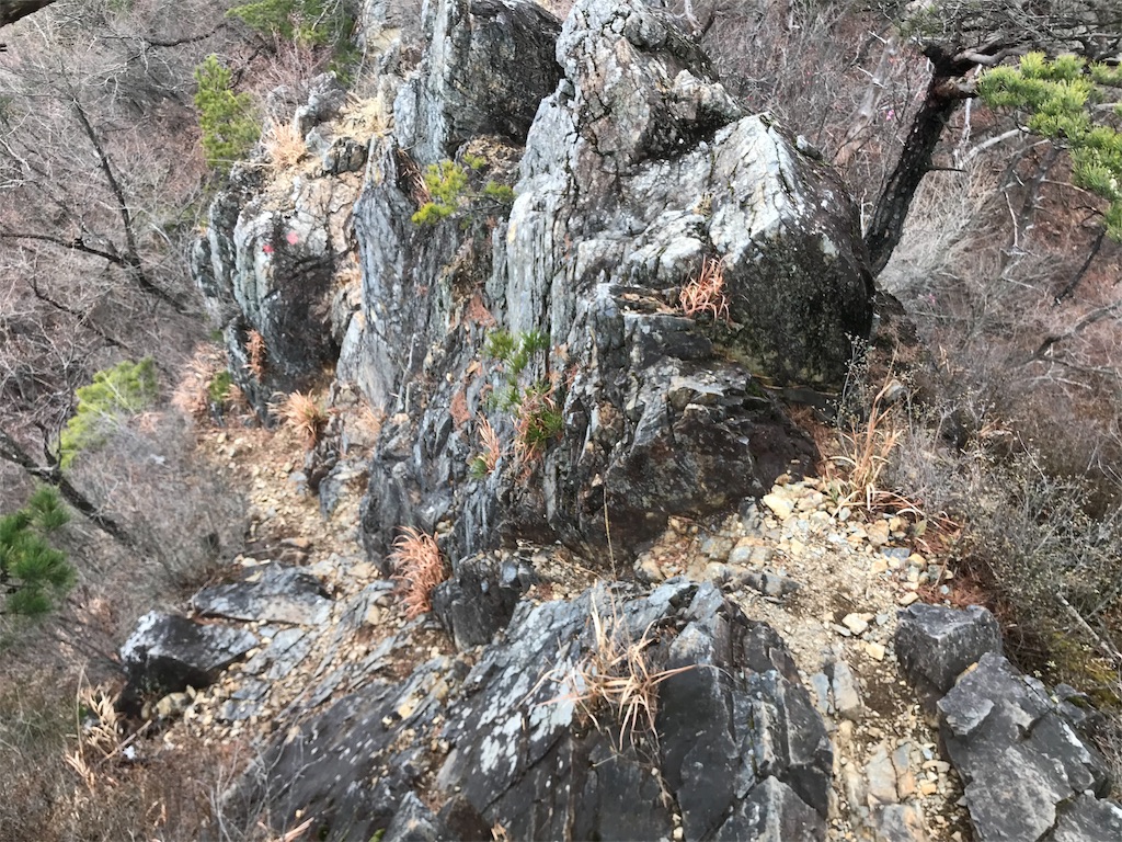 f:id:chobi_chobi:20190331204659j:image f:id:chobi_chobi:20190331204659j:image