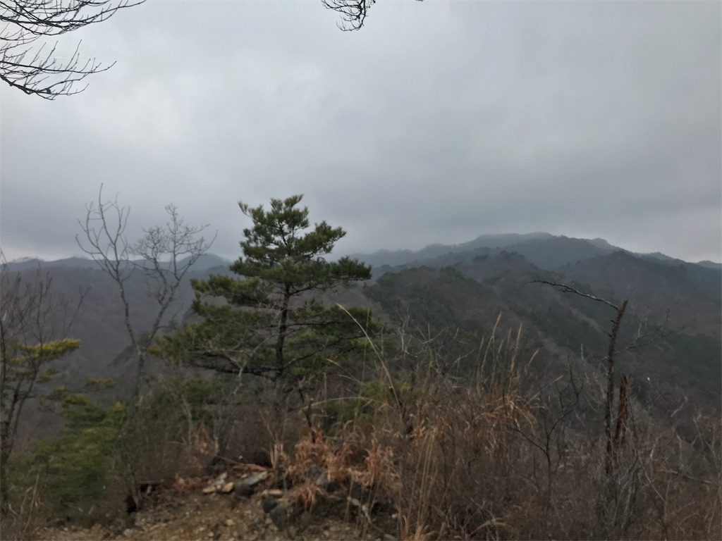 f:id:chobi_chobi:20190331204723j:image f:id:chobi_chobi:20190331204723j:image