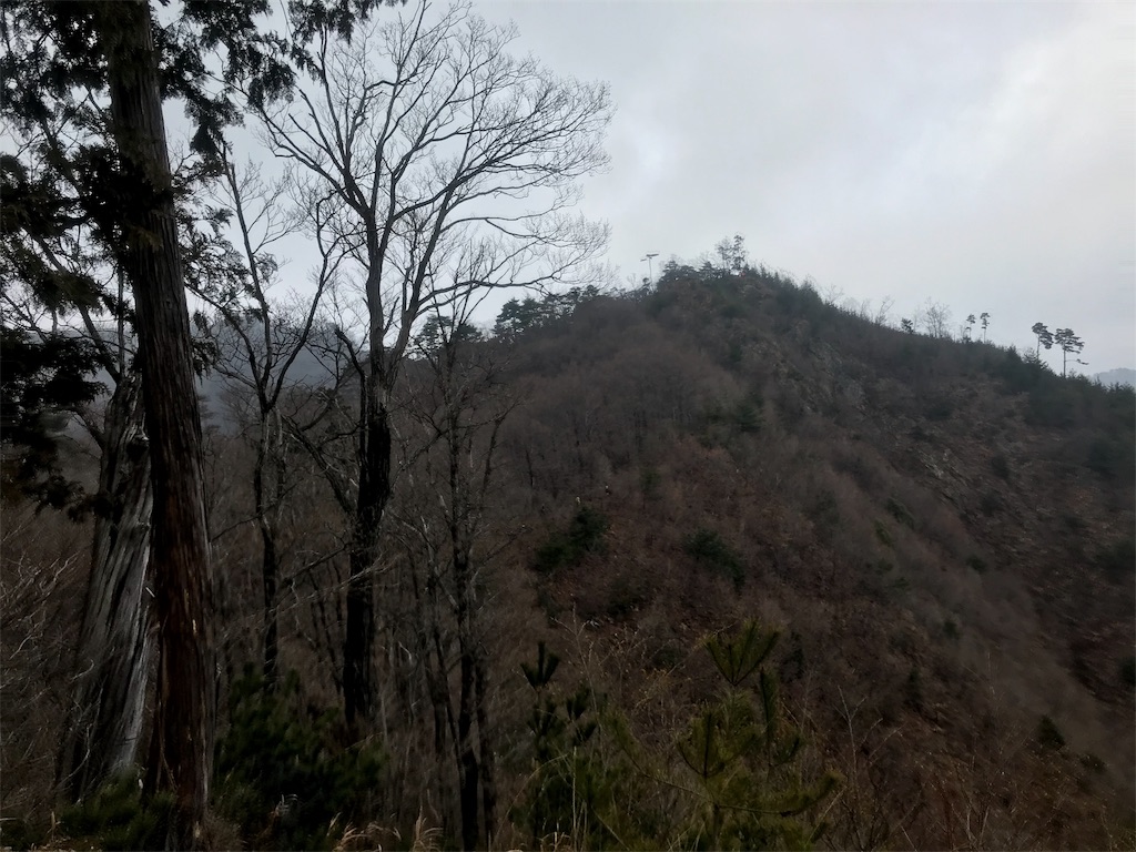 f:id:chobi_chobi:20190331215639j:image f:id:chobi_chobi:20190331215639j:image