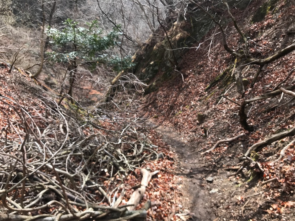 f:id:chobi_chobi:20190331220427j:image f:id:chobi_chobi:20190331220427j:image